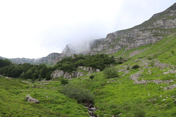 Pievepelago, 17.6.2023
Parco regionalle dell´Alto Appennnino Modenese, Lago Baccio.
Mots-clés: Provincia di Modena Emilia-Romagna Pievepelago Parco regionalle dell´Alto Appennnino Modenese Lago Baccio Monte Rondinaio Anostirus maccapanii