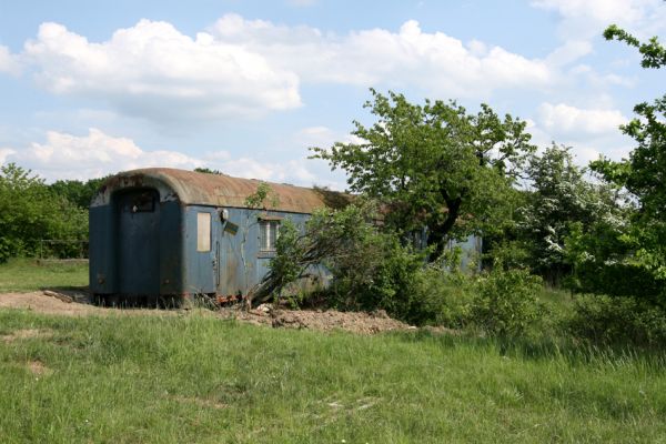 Piletice, vrch Okrouhlík - Třešňovka, 10.5.2009
U horního okraje stepi nám přes zimu vyrostlo malé nádraží.
Klíčová slova: Hradec Králové Piletice Okrouhlík třešňovka Anthaxia candens