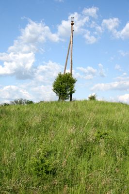 Piletice, vrch Okrouhlík, 11.5.2008
Jaro roku 2008 na vrchu Okrouhlík.
Klíčová slova: Hradec Králové Piletice Okrouhlík