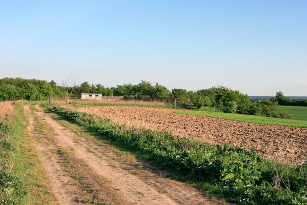 Piletice, vrch Okrouhlík - Třešňovka, 11.5.2008
Zalesnění nevyužitých polí je lepší řešení, než jejich zastavění. 
Schlüsselwörter: Hradec Králové Piletice Okrouhlík Třešňovka