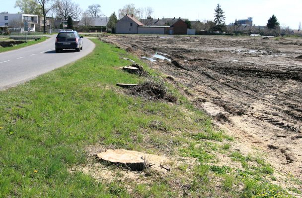 Hradec Králové, Piletice, 18.4.2010
Obrázek ze zákulisí Fimfrlového divadla - tak takhle milí Fimfrlíci chrání hradeckou zeleň...
Mots-clés: Hradec Králové Piletice lipová alej