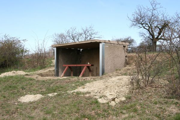 Piletice, třešňovka u Okrouhlíku, 18.4.2010
Tak takhle se nám povedla oprava staré zborcené střílny.
Keywords: Piletice Bukovina třešňovka Okrouhlík Anthaxia candens Agriotes gallicus