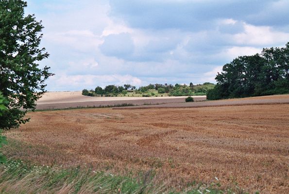 Piletice, 13.8.2005
Pohled od cesty k Okrouhlíku na třešňovku.
Schlüsselwörter: Hradec Králové Piletice Okrouhlík Černilov Bukovina třešňovka step