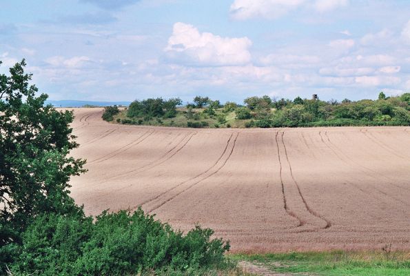 Piletice, 13.8.2005
Pohled z Okrouhlíku na osluněnou třešňovku.
Mots-clés: Hradec Králové Piletice Okrouhlík Černilov Bukovina třešňovka step