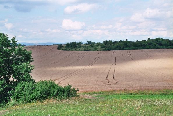 Piletice, 13.8.2005
Letní pohled z Okrouhlíku na třešňovku.
Keywords: Hradec Králové Piletice Okrouhlík Černilov Bukovina třešňovka step