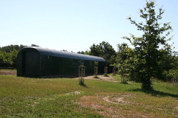 Piletice, třešňovka u Okrouhlíku, 9.7.2010
Relaxační areál u horního okraje stepi byl doplněn o mladé ovocné stromky. Velké třešně jsou minulostí, která je zachycena na starších snímcích třešňovky.
Mots-clés: Piletice Bukovina třešňovka Anthaxia candens