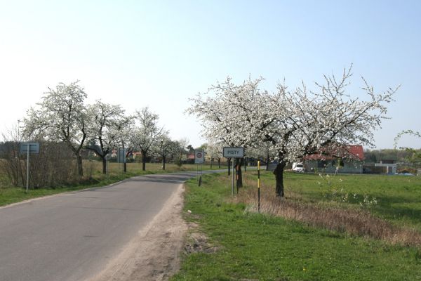 Písty, 13.4.2009
Příjezd do obce Písty.
Klíčová slova: Písty Anthaxia candens