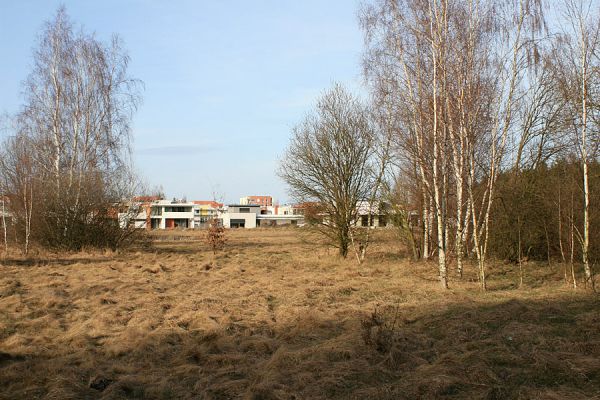 Hradec Králové-Plachta, 23.2.2008
Hradecká slumová čtvrť. Její obyvatelé měli peníze na domy, ale na zahrádku jim již nezbylo.
Klíčová slova: Hradec Králové Plachta Trixagus dermestoides