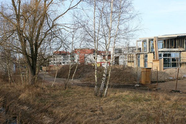 Hradec Králové-Plachta, 23.2.2008
Výhled přímo na slavné naleziště druhu Trixagus atticus.
Schlüsselwörter: Hradec Králové Plachta Trixagus meybohmi atticus