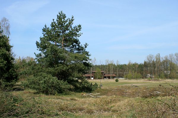 Hradec Králové-Plachta, 24.4.2007
Jízdárna. Kmeny borovic brání procházení koní, lokalita zarůstá. Kovařík Cardiophorus asellus zde vyhyne.
Schlüsselwörter: Hradec Králové Plachta Cardiophorus asellus