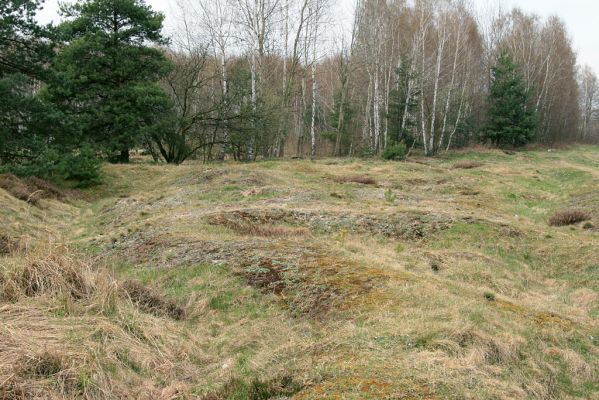 Plachta, 10.4.2008
Pohled na bývalé zákopy - lokalitu kovaříka Cardiophorus asellus
Klíčová slova: Hradec Králové Plachta Cardiophorus asellus