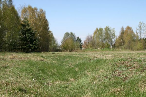 Hradec Králové, Plachta, 24.4.2008
Přírodní památka Na Plachtě - bývalý zákop u koňské jízdárny. Biotop kovaříka Limonius poneli.
Keywords: Hradec Králové Plachta Na Plachtě Limonius poneli