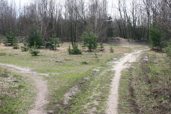 Hradec Králové, PP Na Plachtě, 4.4.2010
Vřesoviště na severovýchodním okraji. Rezervaci protínají četné stezky, které hradečtí obyvatelé hojně využívají ke svým procházkám. 
Mots-clés: Hradec Králové Na Plachtě Plachta