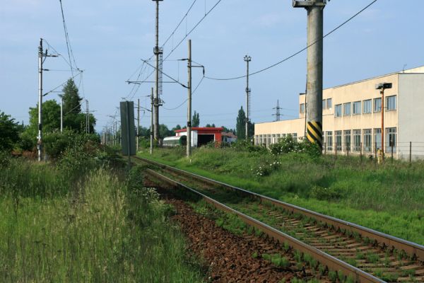 Hradec Králové-Plácky, 23.5.2007
Areál opravny železničních vozů. Pestrá vegatece na náspu železniční trati. Biotop zdobence Trichius rosaceus. 
Keywords: Hradec Králové Plácky vozovka Trichius rosaceus