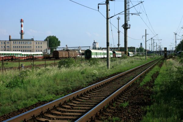 Hradec Králové-Plácky, 23.5.2007
Areál opravny železničních vozů. Pestrá vegatece na náspu železniční trati. Biotop zdobence Trichius rosaceus. 
Mots-clés: Hradec Králové Plácky vozovka Trichius rosaceus