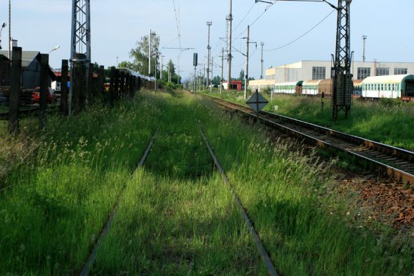 Hradec Králové-Plácky, 23.5.2007
Zarostlá, ale stále používaná kolej u železniční trati Hradec Králové-Jaroměř. V pozadí areál opravny železničních vozů.
Klíčová slova: Hradec Králové Plácky vozovka Trichius rosaceus