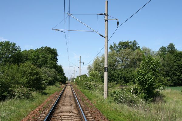 Hradec Králové-Plácky, 24.5.2009
Pohled na trať Hradec Králové-Jaroměř od železničního přejezdu mezi Plácky a Plotišti nad Labem. Květy šípkových keřů hostí zdobence Trichius rosaceus
Schlüsselwörter: Hradec Králové Plácky Trichius rosaceus