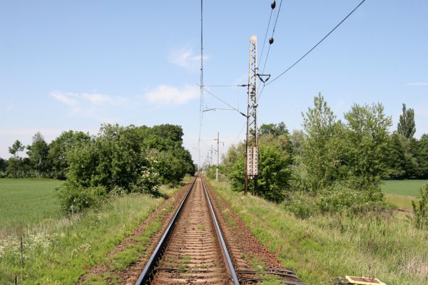 Hradec Králové-Plácky, 24.5.2009
Pohled na trať Hradec Králové-Jaroměř od železničního přejezdu mezi Plácky a Plotišti nad Labem. Květy šípkových keřů hostí zdobence Trichius rosaceus.
Mots-clés: Hradec Králové Plácky Trichius rosaceus