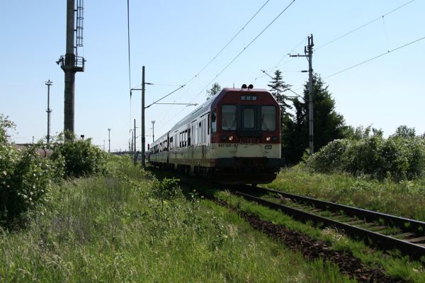 Hradec Králové-Plácky, 24.5.2009
Na trati Hradec Králové-Jaroměř je čilý provoz. Květy šípkových keřů na jejích náspech sice hostí četné zdobence Trichius rosaceus, ale střet s rychlou železniční soupravou může skončit mnohem tragičtěji, než setkání s bandou ortodoxních slovenských „ochranářů“.  
Keywords: Hradec Králové Plácky Trichius rosaceus