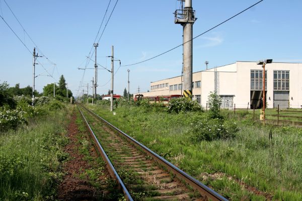 Hradec Králové-Plácky, 24.5.2009
Pohled z trati Hradec Králové-Jaroměř na opravnu železničních vozů. Květy šípkových keřů na jijích náspech hostí zdobence Trichius rosaceus.
Mots-clés: Hradec Králové Plácky Trichius rosaceus