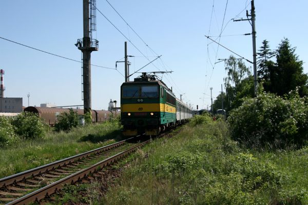 Hradec Králové-Plácky, 24.5.2009
Na trati Hradec Králové-Jaroměř je čilý provoz. Květy šípkových keřů na jejích náspech sice hostí četné zdobence Trichius rosaceus, ale střet s železniční soupravou může mít fatální následky. 
Schlüsselwörter: Hradec Králové Plácky Trichius rosaceus