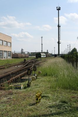 Hradec Králové-Plácky, 25.5.2008
Pohled z opravny železničních vozů k trati Hradec Králové-Jaroměř. V travinách v pásu podél plotu jsou chrastavce rolní, jejichž květy vyhledávány zdobenci Trichius rosaceus.
Klíčová slova: Hradec Králové Plácky vozovka Trichius rosaceus