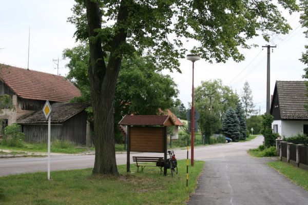 Plchovice - Smetana, 15.6.2009
Lípa na návsi osídlená krasci lipovými.
Klíčová slova: Plchovice Smetana Lamprodila rutilans
