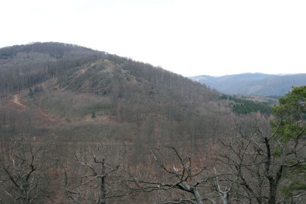 Karlova Ves - rezervace Velká Pleš, 30.3.2009
Pohled z vrchu Prachoviště na Malou Pleš.
Schlüsselwörter: Křivoklátsko Velká Pleš Prachoviště Malá Pleš