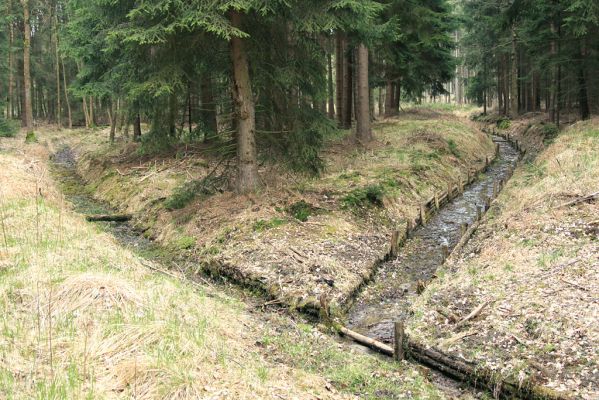 Údolí pod Císařskou studánkou, 10.4.2008
Zregulované potoky v údolí nad retenční nádrží "Cesta myslivců".
Klíčová slova: Hradec Králové Císařská studánka lesní meliorace