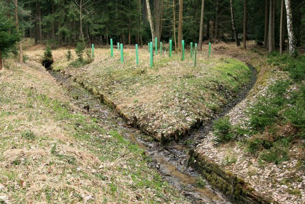 Údolí pod Císařskou studánkou, 10.4.2008
Zregulované potoky v údolí nad retenční nádrží "Cesta myslivců".
Klíčová slova: Hradec Králové Císařská studánka lesní meliorace