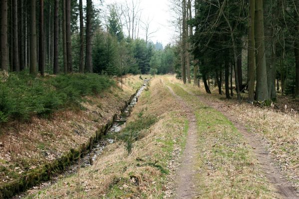 Údolí pod Císařskou studánkou, 10.4.2008
Zregulovaný potok nad retenční nádrží "Cesta myslivců".
Mots-clés: Hradec Králové Císařská studánka lesní meliorace