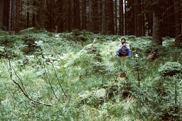 Podbanské, 28.5.1989
Rozsáhlé prameniště v lese na svahu nad levým břehem řehy Belé. Biotop kovaříka Metanomus infuscatus
Keywords: Podbanské Metanomus infuscatus