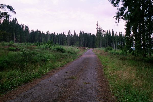 Vysoké Tatry, Podbanské, 9.8.2004
Asfaltka na Liptovskou Kokavu.
Schlüsselwörter: Vysoké Tatry Podbanské