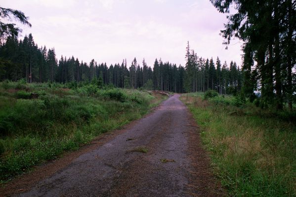 Vysoké Tatry, Podbanské, 9.8.2004
Asfaltka na Liptovskou Kokavu.
Klíčová slova: Vysoké Tatry Podbanské