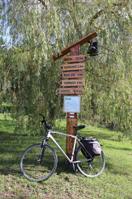 Týniště nad Orlicí, 23.9.2022
Křivice, pod Křivinou. 
Keywords: Podorlicko Týniště nad Orlicí Křivice