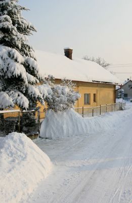 Pohřebačka 34, 11.1.2010
Zachumelené entomologické doupě.
Schlüsselwörter: Opatovice nad Labem Pohřebačka