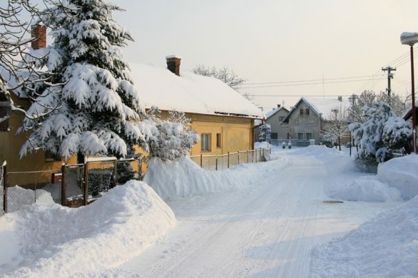 Pohřebačka 34, 11.1.2010
Zachumelené entomologické doupě.
Klíčová slova: Opatovice nad Labem Pohřebačka