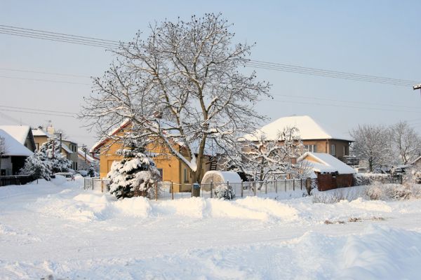 Pohřebačka 34, 11.1.2010
Zachumelené entomologické doupě.
Klíčová slova: Opatovice nad Labem Pohřebačka