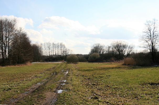 Pohřebačka - Na bahnách, 20.3.2008
Jarní cestou na luka
Klíčová slova: Pohřebačka Na bahnách