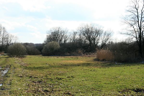 Pohřebačka - Na bahnách, 20.3.2008
Podmáčené louky střídají vrbiny
Schlüsselwörter: Pohřebačka Na bahnách