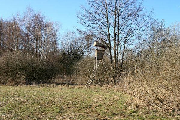 Pohřebačka - Na bahnách, 20.3.2008
Okraje luk jsou vhodné pro pozorování zvěře
Keywords: Pohřebačka Na bahnách