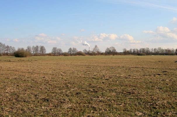 Pohřebačka - Na bahnách, 20.3.2008
Pohled z širých luk k elektrárně
Klíčová slova: Pohřebačka Na bahnách elektrárna