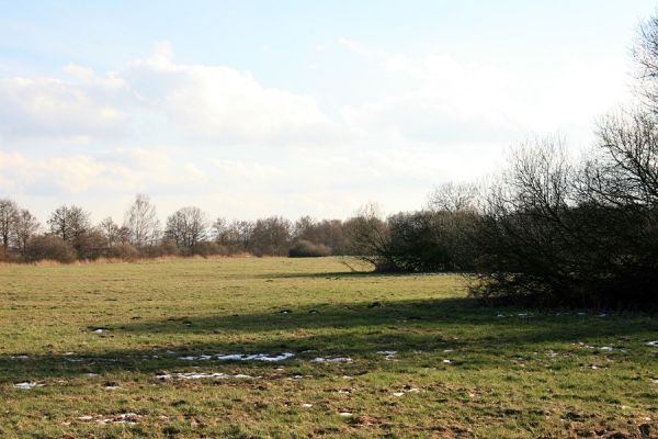 Pohřebačka - Na bahnách, 20.3.2008
Luka s vrbovými háji
Schlüsselwörter: Pohřebačka Na bahnách