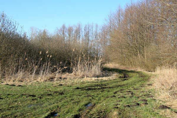 Pohřebačka - Na bahnách, 20.3.2008
Rozbahněná cesta na luka
Klíčová slova: Pohřebačka Na bahnách