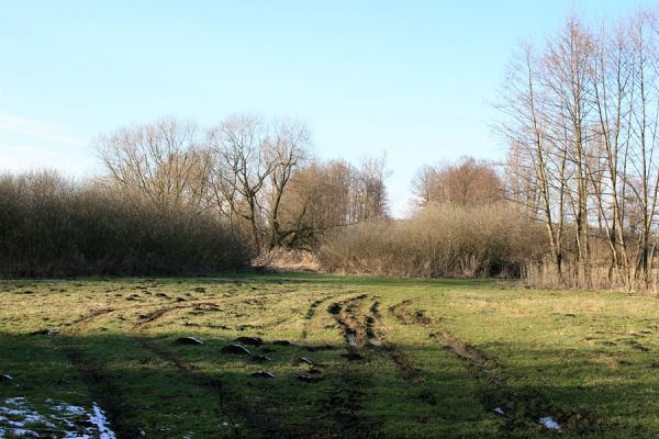 Pohřebačka - Na bahnách, 20.3.2008
Cestou necestou
Klíčová slova: Pohřebačka Na bahnách