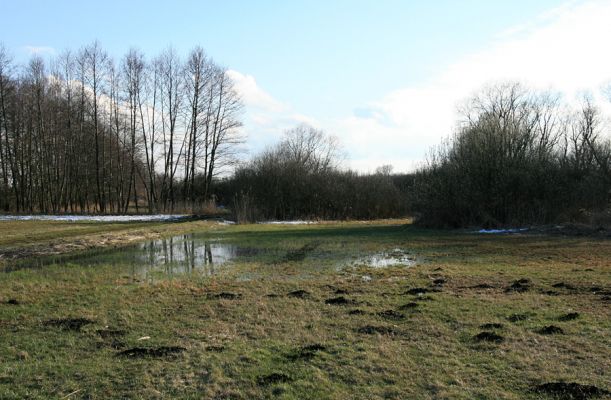 Pohřebačka - Na bahnách, 20.3.2008
Tady vládne voda
Mots-clés: Pohřebačka Na bahnách