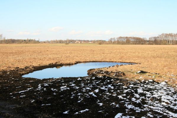 Pohřebačka - Na bahnách, 20.3.2008
Pohled od jezírek přes slatinnou louku k obci Březhrad
Mots-clés: Pohřebačka Na bahnách Březhrad