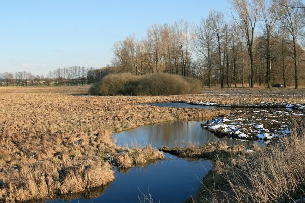 Pohřebačka - Na bahnách, 20.3.2008
Zde se těží rašelina pro Lázně Bohdaneč
Schlüsselwörter: Pohřebačka Na bahnách