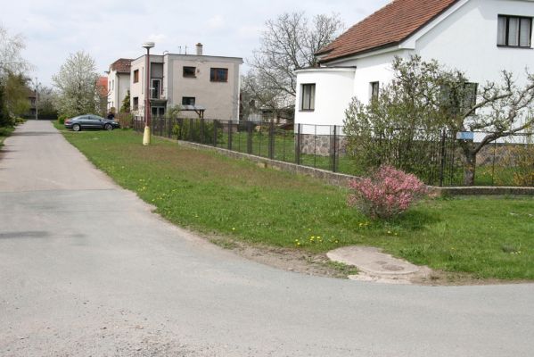 Opatovice nad Labem, 24.4.2012
Pohřebačka. Biotop zlatohlávků huňatých.
Klíčová slova: Opatovice nad Labem Pohřebačka zlatohlávek huňatý Tropinota hirta