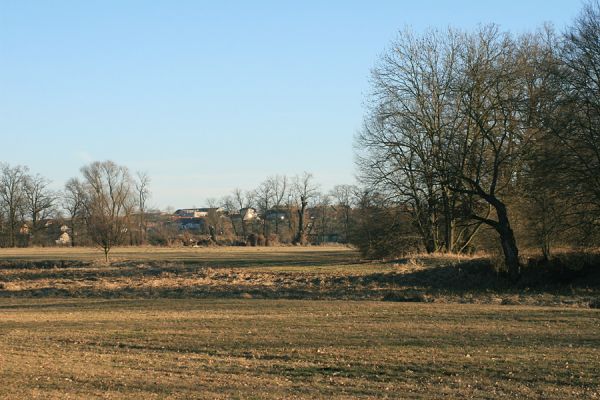 Opatovice-Polabiny-pod Bukovinou, 24.2.2008
Pohled od slepého ramene k obci Bukovina. Za rok zde bude staveniště mostu pro R35.
Klíčová slova: Opatovice Polabiny Bukovina Labe slepé rameno záplavová louka R35